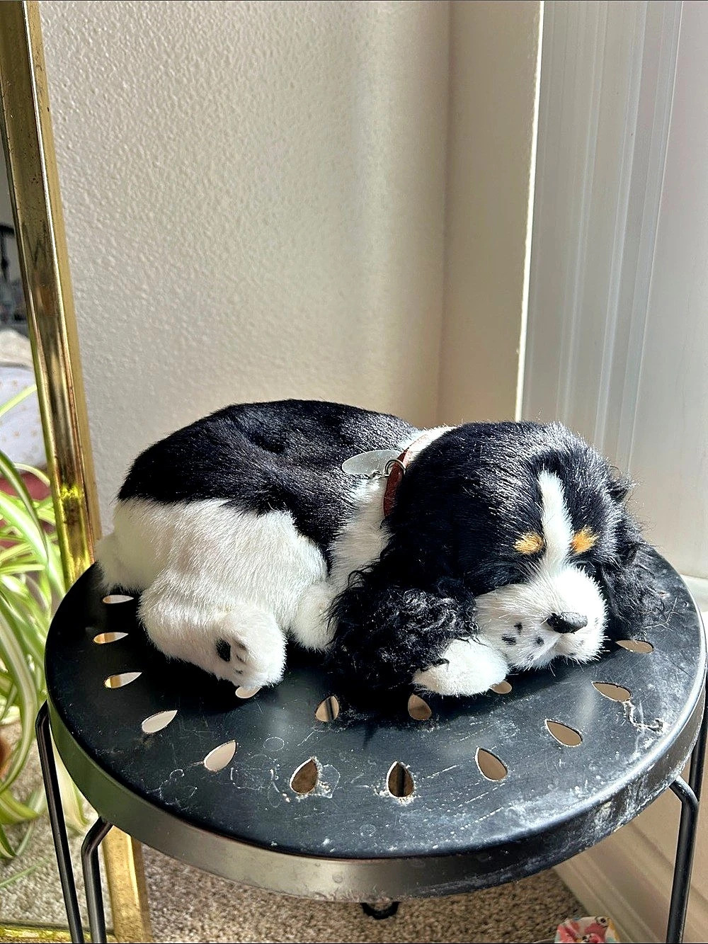 Perfect Petzzz - breathing Bernese Mountain Dog Plush Dog Toy Black & White